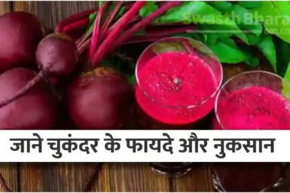 Jane Chukandar Khane Ke Fayade Aur Nuksan