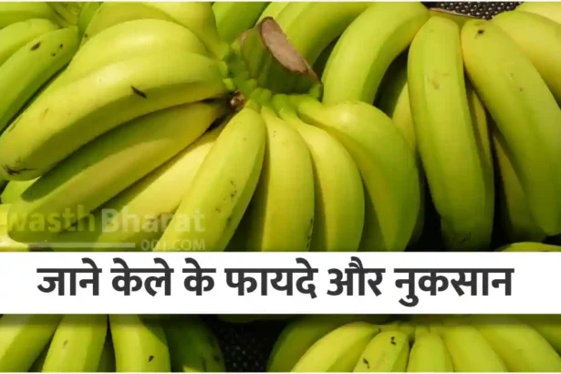 Jane Kela Khane ke Fayde Aur Nuksan