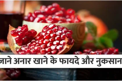 jane-anar-khane-ke-fayade