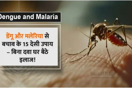 15 home remedies to prevent dengue and malaria