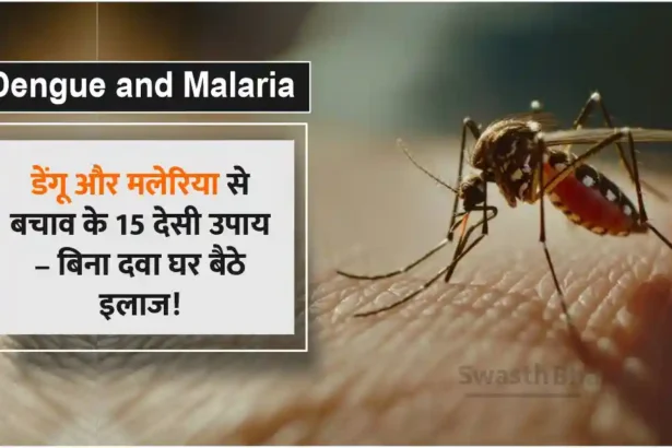 15 home remedies to prevent dengue and malaria