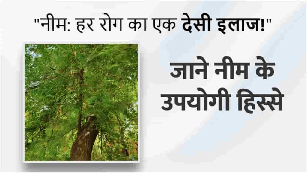 Beneficial Parts of Neem Tree