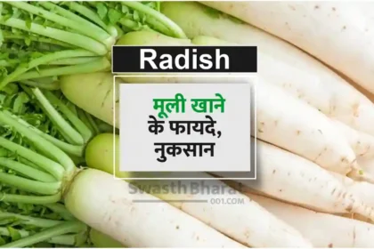 Benefits and disadvantages of eating radish