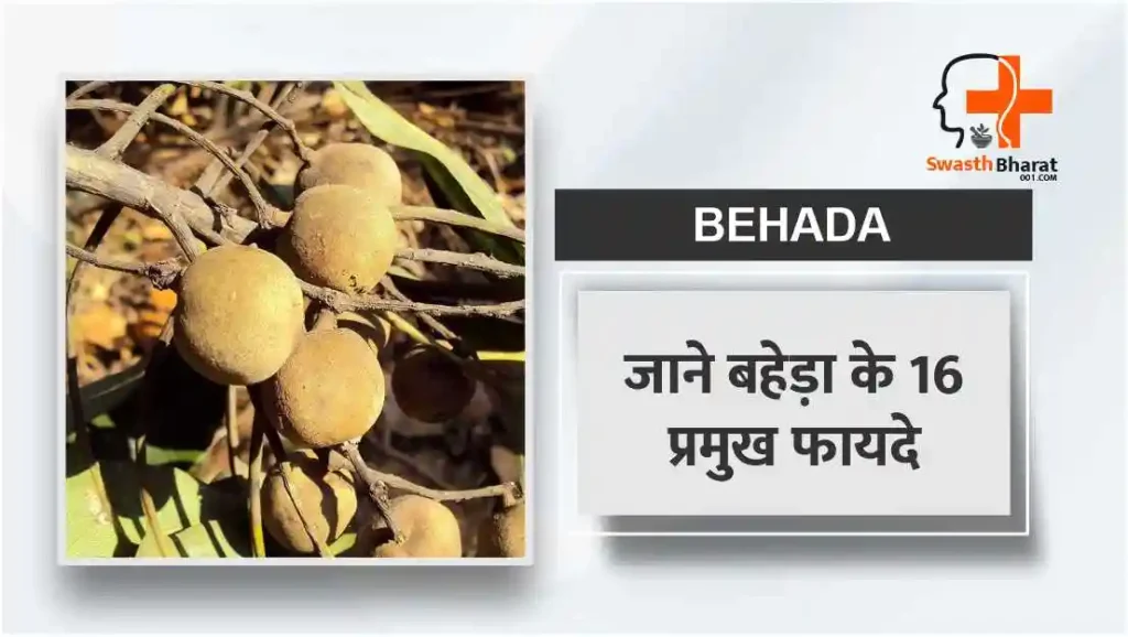 बहेड़ा के 16 प्रमुख फायदे