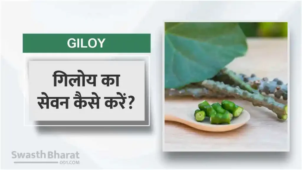 गिलोय का सेवन कैसे करें?