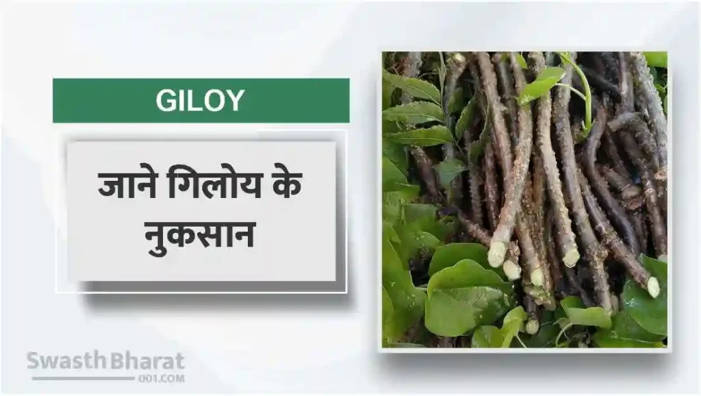 गिलोय के नुकसान