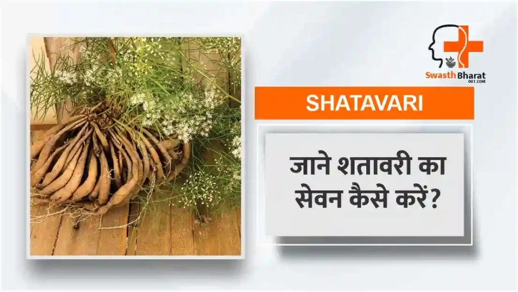 शतावरी का सेवन कैसे करें?