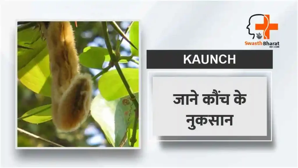 जाने कौंच के नुकसान