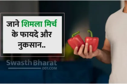 Know the advantages and disadvantages of capsicum