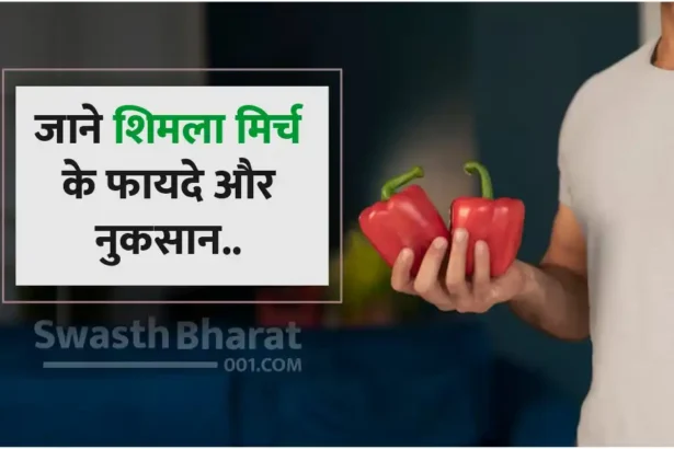 Know the advantages and disadvantages of capsicum