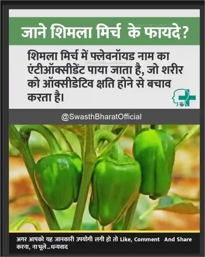 Know the benefits of capsicum