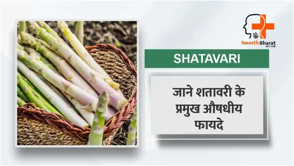शतावरी के प्रमुख औषधीय फायदे