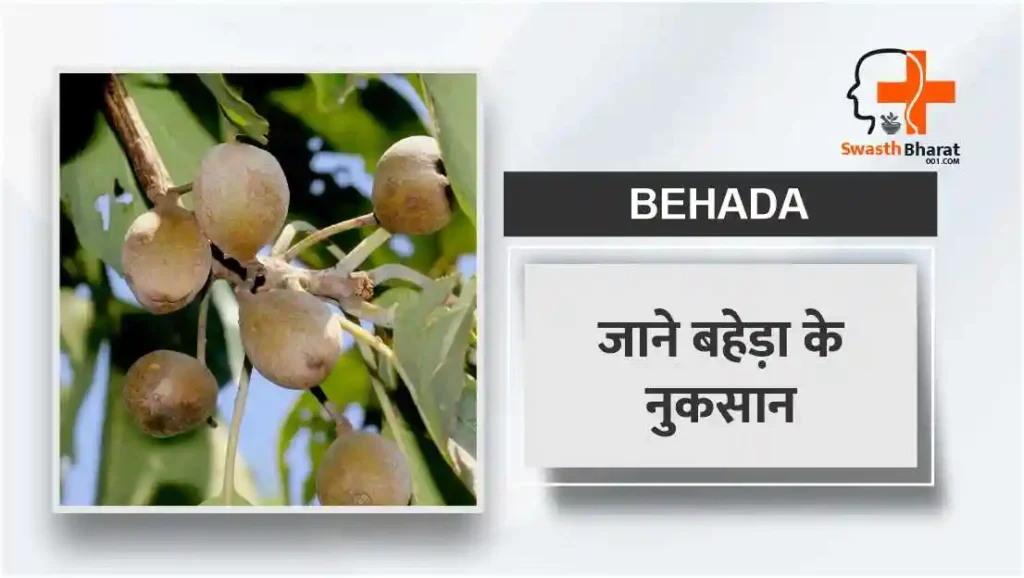बहेड़ा के नुकसान Side Effects of Baheda