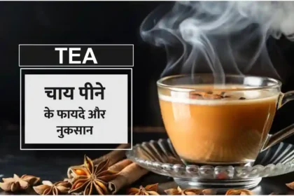 The benefits and harms of drinking tea