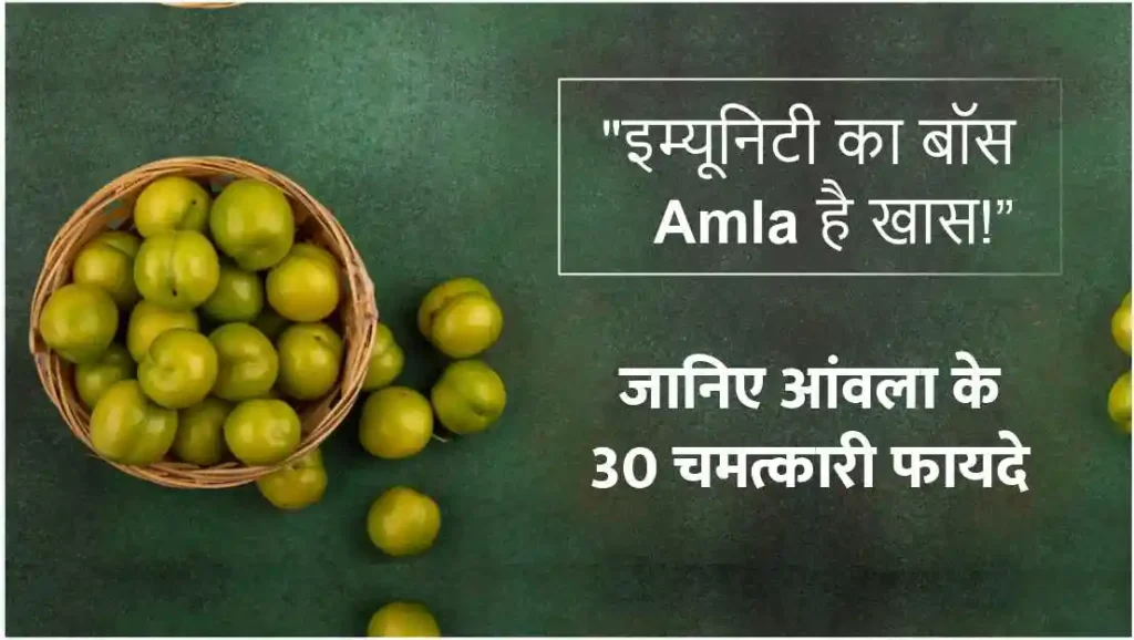 जानिए आंवला के चमत्कारी फायदे – विस्तार से