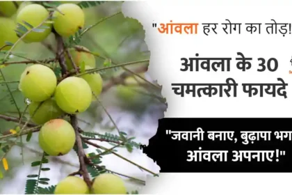 amla ke fayde nuksan upyog