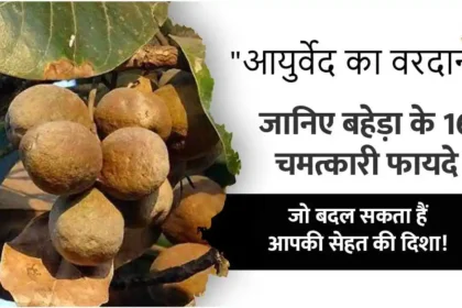 baheda ke fayde nuksan upyog