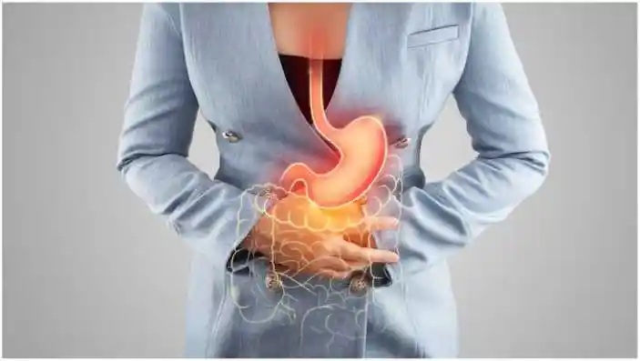 digestive system