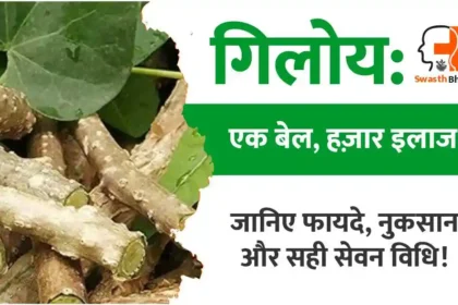 गिलोय के फायदे, नुकसान, सेवन विधि