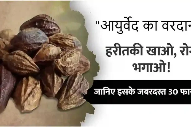 haritaki ke fayde nuksan upyog