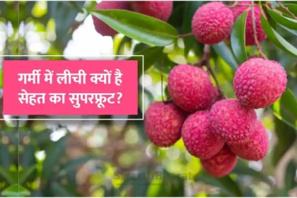लीची खाने के फायदे और नुकसान विस्तार से