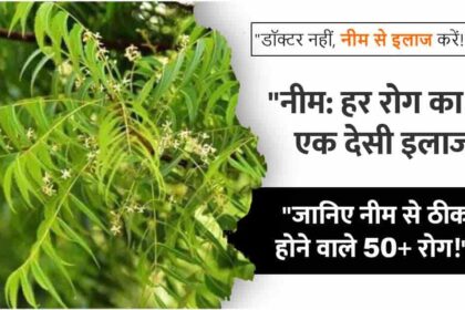 neem ke fayde nuksan upyog hindi