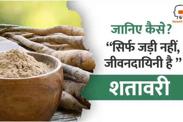 "शतावरी के फायदे और उपयोग – जानिए इस आयुर्वेदिक जड़ी-बूटी के चमत्कारी लाभ, सेवन विधि और नुकसान के बारे में पूरी जानकारी"
