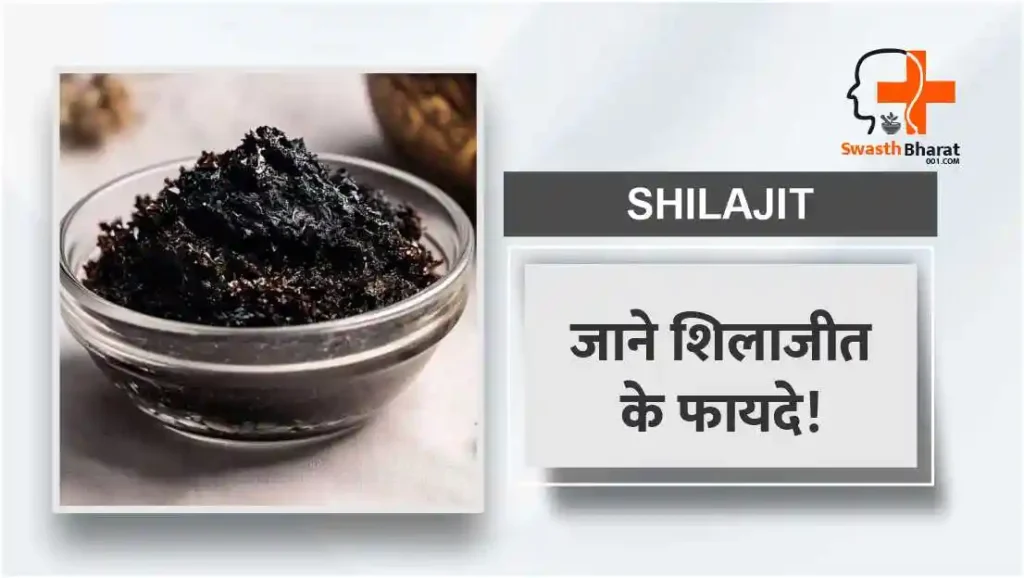 शिलाजीत के अद्भुत फायदे (Benefits of Shilajit in Hindi)
