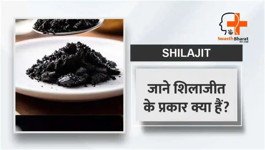 शिलाजीत के प्रकार (Types of Shilajit)