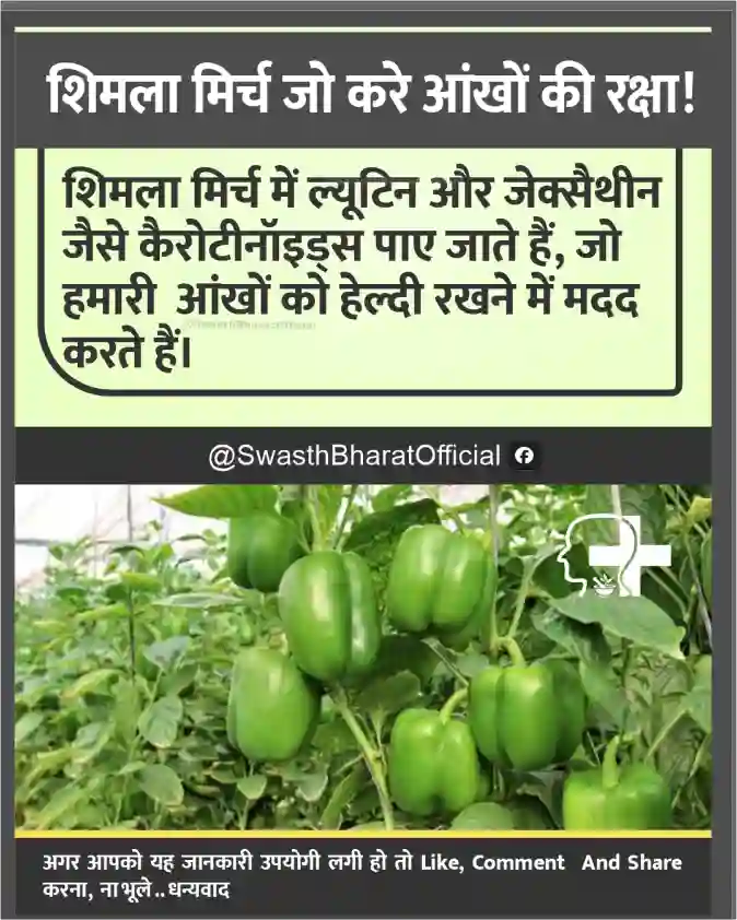 shimala mirch ke fayade aur nukasan