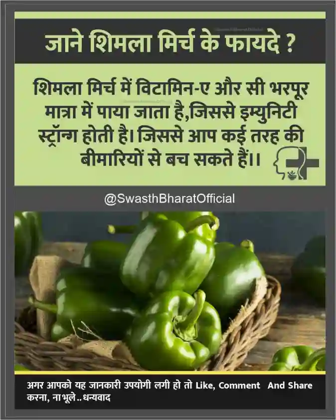 shimala mirch ke fayade