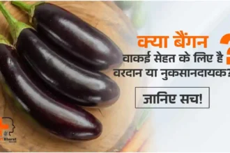 बैंगन के फायदे और नुकसान
