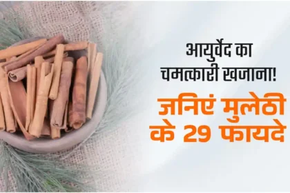 Mulethi ke Fayde: जानिए मुलेठी के फायदे और औषधीय उपयोग